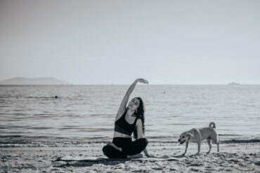 Les Chiens et les Techniques de Relaxation en Parc